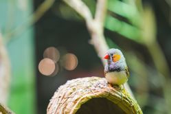 -Zoolung Zoolung动物主题公园(海信广场店)