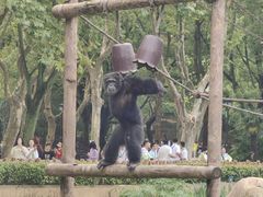 -上海野生动物园