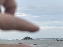 -野狸岛
