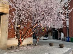 -福慧轩(东丽湖店)