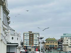 -Full House 聚湘緣