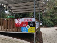 -芦仙山景区-飞越丛林探险乐园