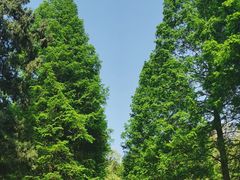 -青城山