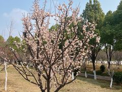-汉江湾体育公园