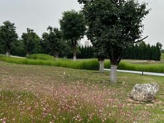 -汉长安城未央宫国家考古遗址公园