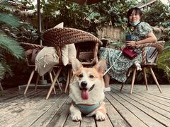 -莫催咖啡