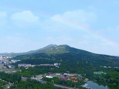 -紫金山山顶公园