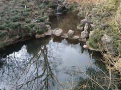 -灵顺寺