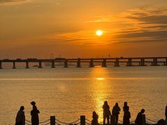 -宝安西湾红树林湿地公园