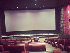 Palace&nbsp;Cinema百丽宫影城(大慈寺太古里店)-成都百丽宫影城(LUXE太古里店)