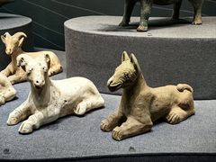 -广西壮族自治区博物馆