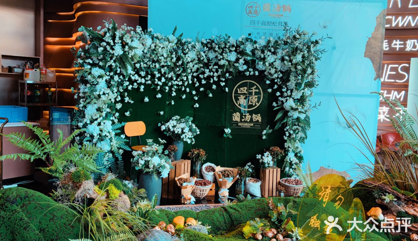 朋友聚会想整个养生局⁉️就餐环境绝了的4000高原