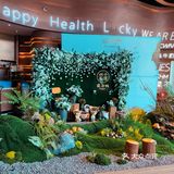 朋友聚会想整个养生局⁉️就餐环境绝了的4000高原