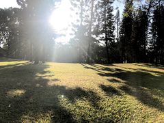 -人民公园(罗湖区)