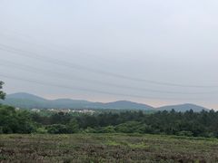 -村理食堂(小茅山脚店)