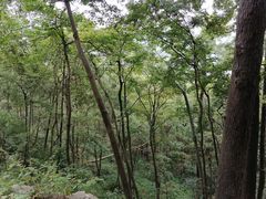 -黔灵山公园