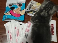 -翊宠yipet猫狗购宠庄园犬舍•猫舍