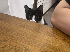 -原田新料理(1912店)