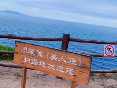 -杨梅坑