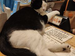 店内环境-猫的天空之城概念书店(杭州南宋御街店)