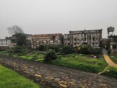 -三水森林公园