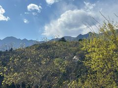 -白水寺森林公园