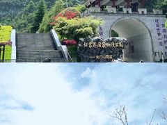 -张家界天门山国家森林公园