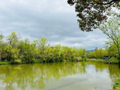 -西溪国家湿地公园