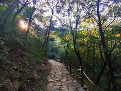 -阳台山自然风景区