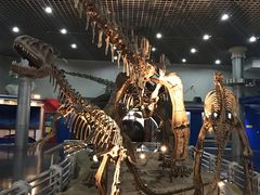 -国家自然博物馆