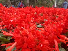 -人民公园(罗湖区)