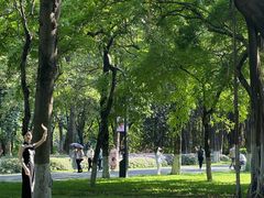 -海珠湖公园