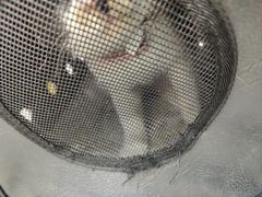 -派特宠物医院(圆融广场店)