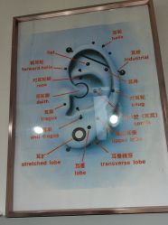 -AI艾耳·专业手工耳洞·穿孔美学馆