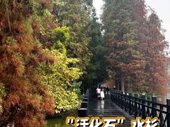 -海珠湖公园