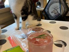-猫小院猫主题餐厅(南锣旗舰店)