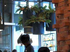 -Tanuki Raw(Orchard Central)