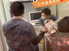 -伟伟宠物医院·瑞派猫友好医院·猫科(光谷店)