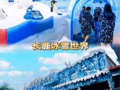 -长鹿旅游休博园