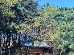 -妙峰山风景名胜区