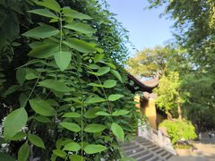 -灵谷景区