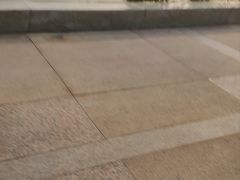 -上海市龙华烈士陵园