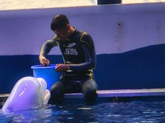 -秦皇岛乐岛海洋王国