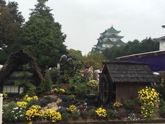 -名古屋城