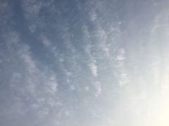 -人民防洪胜利纪念塔