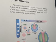 -四川大学博物馆