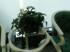 -美酷口腔牙齿矫正(江桥万达店)