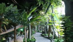 -恐龙探索乐园(磁器口店)