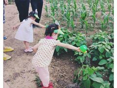 -乐融婴幼儿成长中心(四季青校区)