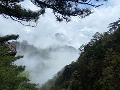 -黄山风景区